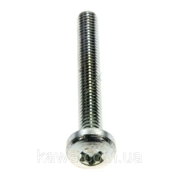 Болт горизонтальної кавомолки Philips Saeco 996530012928 